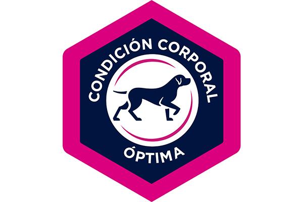 eukanuba-comparte-un