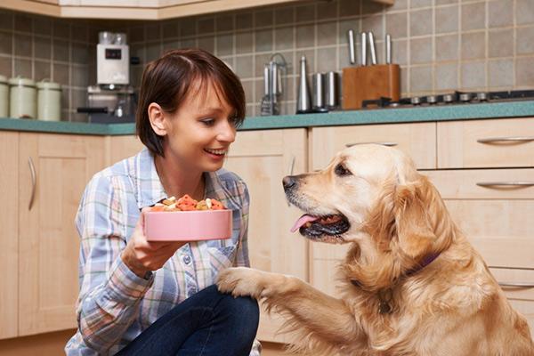fediaf publica una gua sobre las necesidades nutricionales de los perros adultos fediaf publica una gua sobre las necesidades nutricionales de los perros adultos