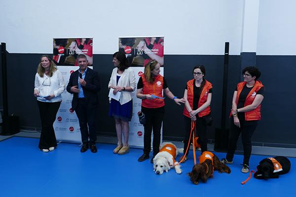 fundacion-affinity-y