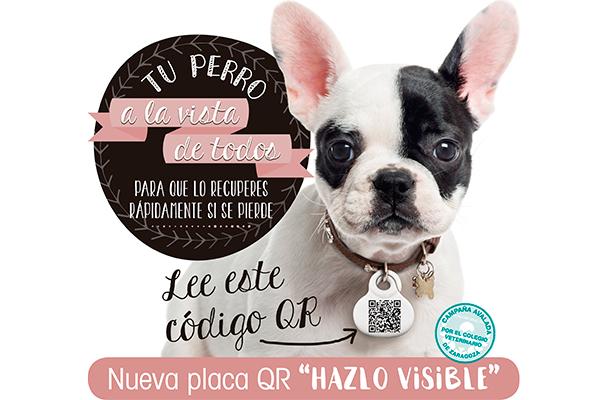 hazlo visible la campaa de los veterinarios de zaragoza que ayuda a recuperar perros perdidos hazlo visible la campaa de los veterinarios de zaragoza que ayuda a recuperar perros perdidos