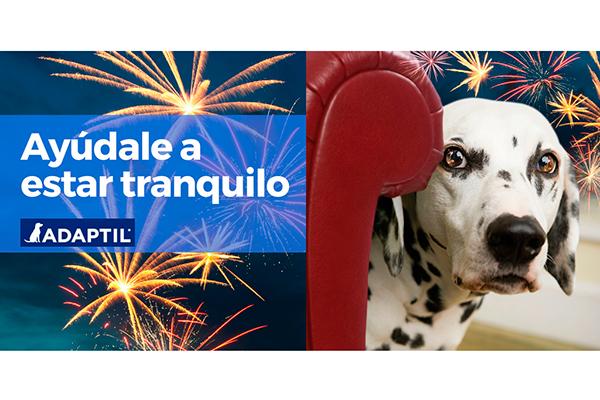 tu-perro-tiene-miedo