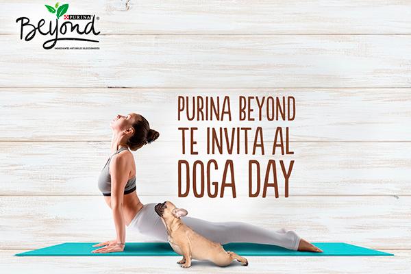 no te pierdas la mayor master class de yoga con perros de espaa no te pierdas la mayor master class de yoga con perros de espaa