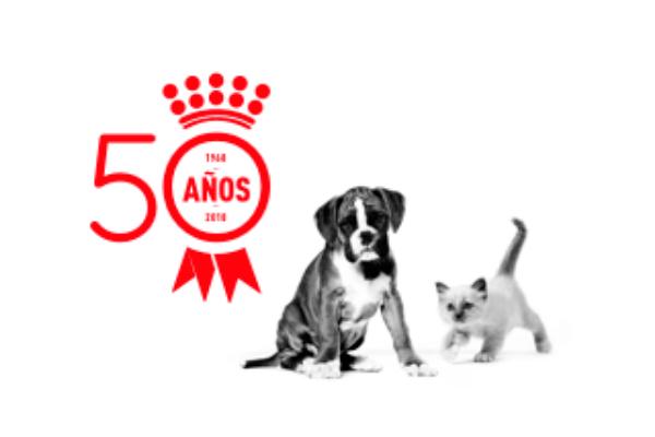royal canin medio siglo al servicio de la salud de gatos y perros royal canin medio siglo al servicio de la salud de gatos y perros