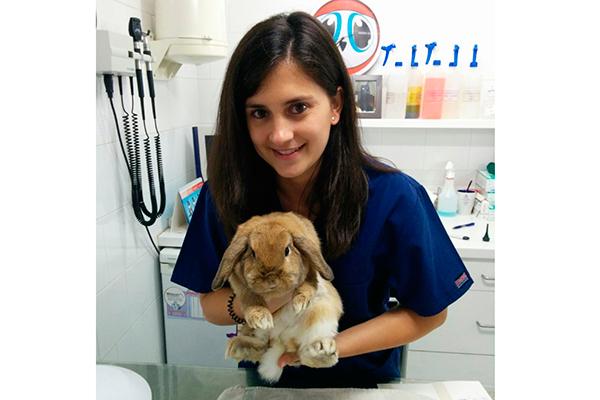 la-veterinaria-de-an