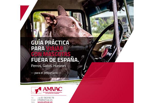 amvac-da-las-claves-