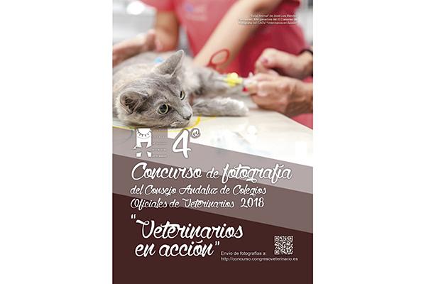 el cacov convoca el iv concurso de fotografa veterinarios en accin el cacov convoca el iv concurso de fotografa veterinarios en accin