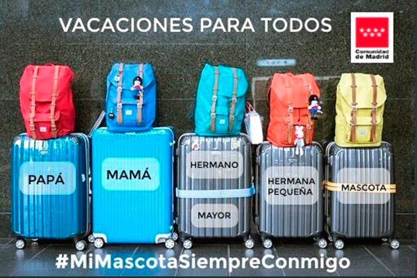 la-comunidad-madrid-