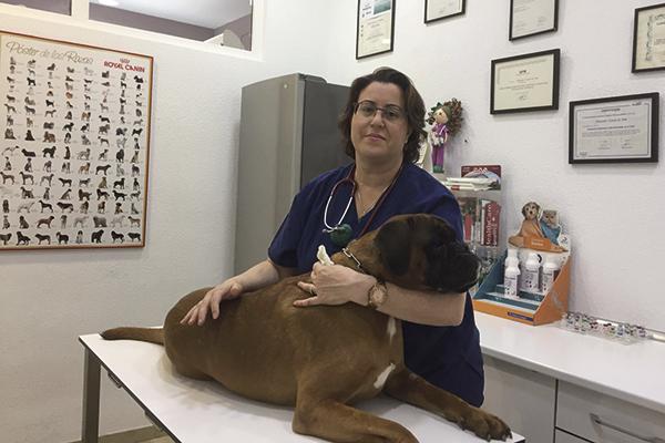hay que dar a conocer los logros que hemos obtenido tanto en el bienestar de las mascotas como en la calidad de la medicina hay que dar a conocer los logros que hemos obtenido tanto en el bienestar de las mascotas como en la calidad de la medicina