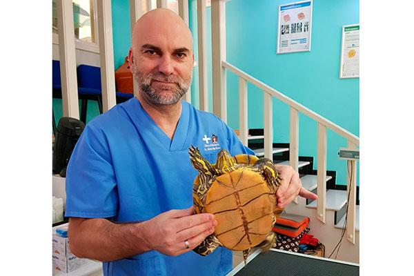 hay que implantar los seguros e igualas veterinarias que nos garantizan poder trabajar sin impedimentos econmicos por parte del cliente hay que implantar los seguros e igualas veterinarias que nos garantizan poder trabajar sin impedimentos econmicos por parte del cliente