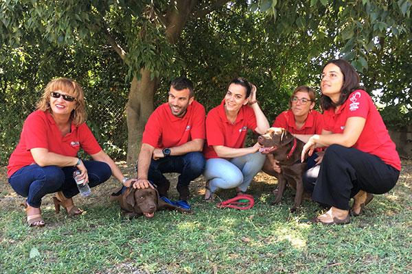 el proyecto guau convierte a moka y a tana en perros de terapia el proyecto guau convierte a moka y a tana en perros de terapia
