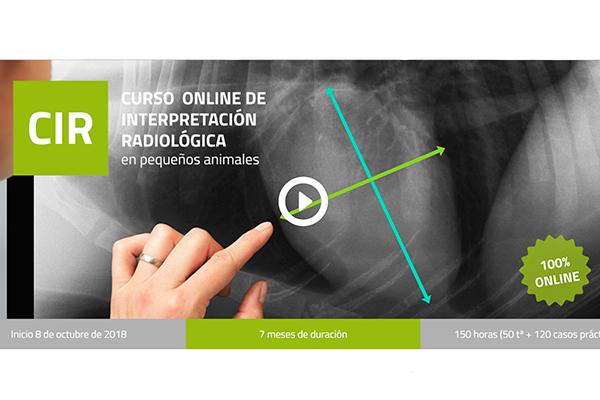 ya-puedes-inscribirt