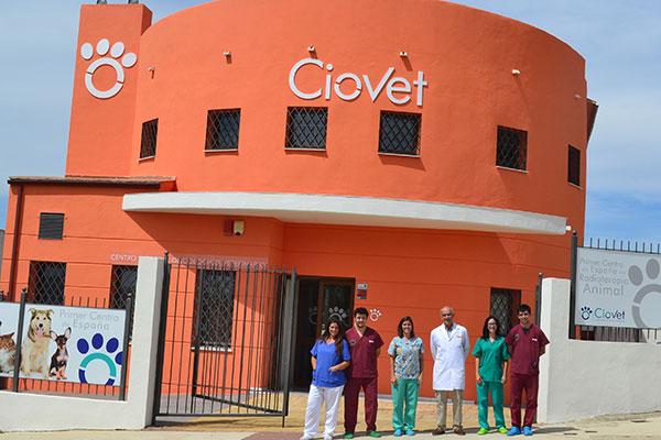 la radioterapia veterinaria plantea tratamientos que eran impensables para los animales la radioterapia veterinaria plantea tratamientos que eran impensables para los animales