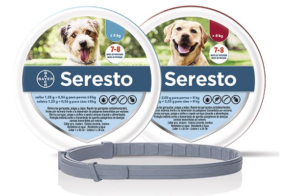 serestosupsup-recibe-la-indicacion-para-la-leishmaniosis-canin