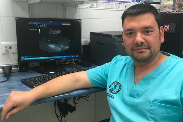 lo ms urgente es conseguir un servicio veterinario de calidad con un aumento de las especializaciones lo ms urgente es conseguir un servicio veterinario de calidad con un aumento de las especializaciones