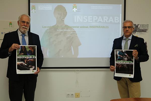 los veterinarios andaluces ponen en marcha una campaa para garantizar la proteccin y el bienestar animal los veterinarios andaluces ponen en marcha una campaa para garantizar la proteccin y el bienestar animal