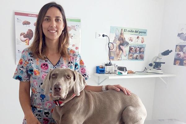el cliente se fideliza con los actos debe sentirse informado en todo momento el cliente se fideliza con los actos debe sentirse informado en todo momento