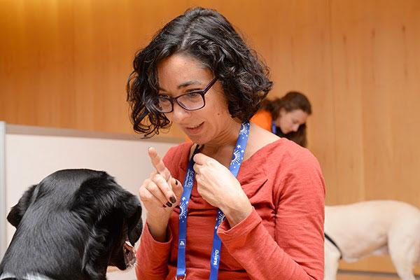 avepa organiza un taller para ayudar a los propietarios tras la adopcin de un perro avepa organiza un taller para ayudar a los propietarios tras la adopcin de un perro