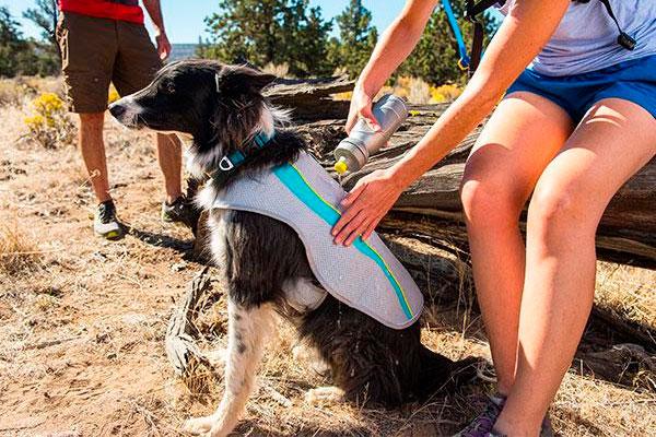 chalecos para vencer el calor chalecos para vencer el calor