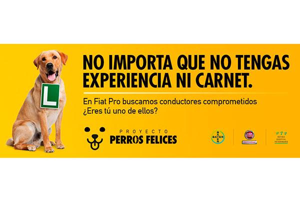 cuidar y recuperar los perros abandonados objetivo del proyecto perros felices cuidar y recuperar los perros abandonados objetivo del proyecto perros felices