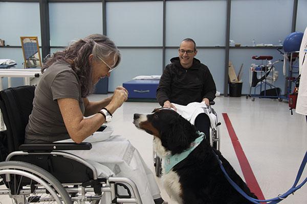 los perros entran en el hospital la fe para curar a los enfermos los perros entran en el hospital la fe para curar a los enfermos