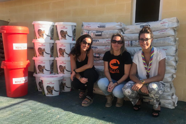 los scouts recaudan 500 raciones de alimento para la protectora arca de sevilla los scouts recaudan 500 raciones de alimento para la protectora arca de sevilla