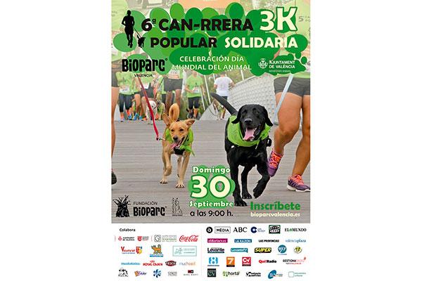 vuelve la canrrera vuelve la canrrera