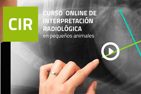 vuelve-el-curso-de-i