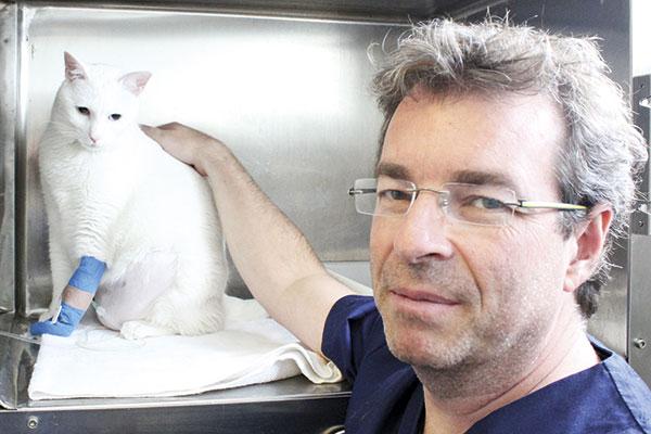 muchos-veterinarios-