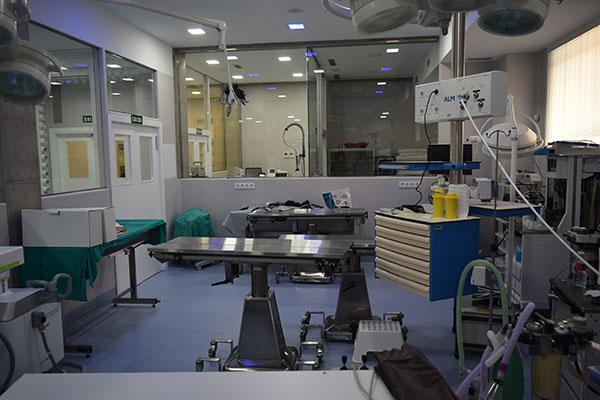 nace el instituto de tcnicas avanzadas sinergia veterinaria con el objetivo de mejorar la calidad de vida de personas y animales nace el instituto de tcnicas avanzadas sinergia veterinaria con el objetivo de mejorar la calidad de vida de personas y animales