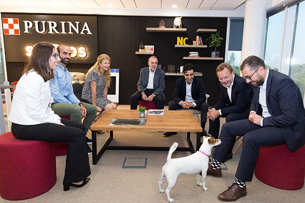 nestl purina presenta el programa pets at work a importantes empresas nestl purina presenta el programa pets at work a importantes empresas