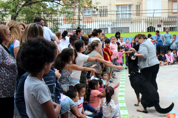objetivo fomentar la tenencia responsable de mascotas entre los escolares objetivo fomentar la tenencia responsable de mascotas entre los escolares