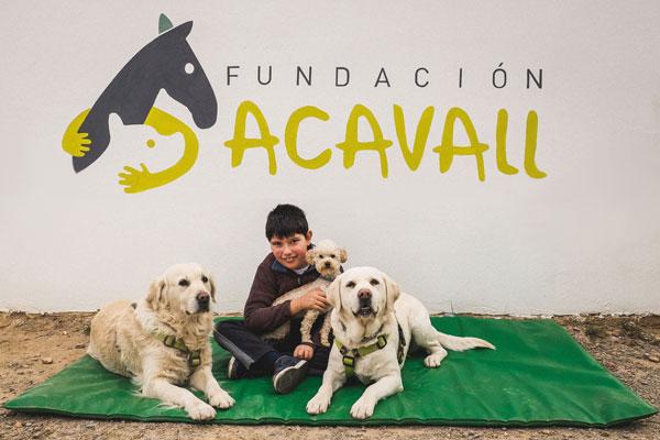 acavall es un homenaje a nuestros inicios pero queremos convivir con todas las especies susceptibles de ayudar acavall es un homenaje a nuestros inicios pero queremos convivir con todas las especies susceptibles de ayudar