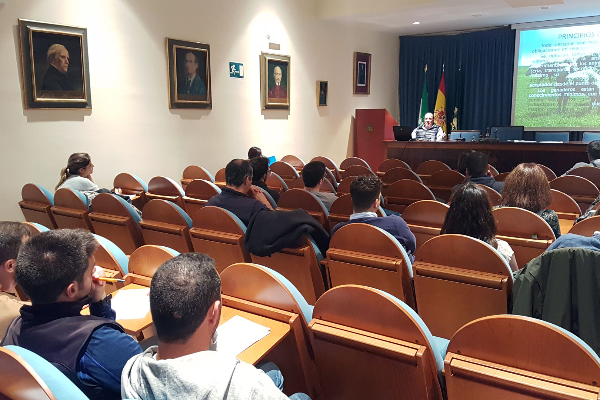 el colegio de veterinarios de sevilla acoge el curso de veterinarios de directorio el colegio de veterinarios de sevilla acoge el curso de veterinarios de directorio