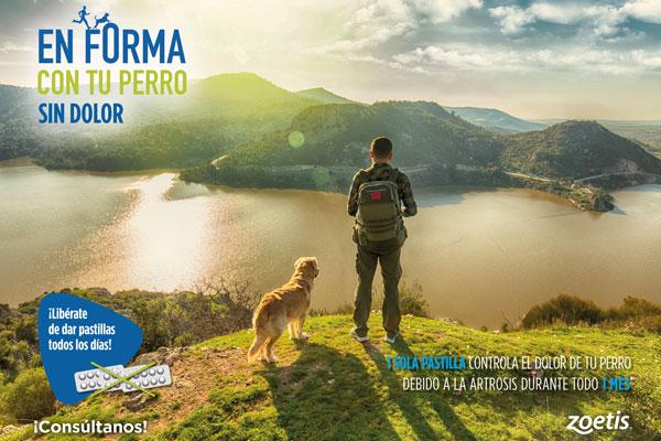 en forma con tu perro sin dolor la nueva campaa de zoetis para concienciar sobre la artrosis canina en forma con tu perro sin dolor la nueva campaa de zoetis para concienciar sobre la artrosis canina