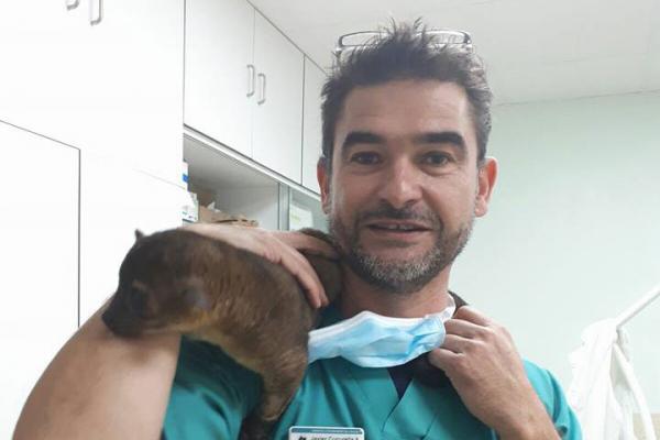 la odontologa avanza en los tratamientos con clulas madre y la mejora de los tratamientos periodontales la odontologa avanza en los tratamientos con clulas madre y la mejora de los tratamientos periodontales