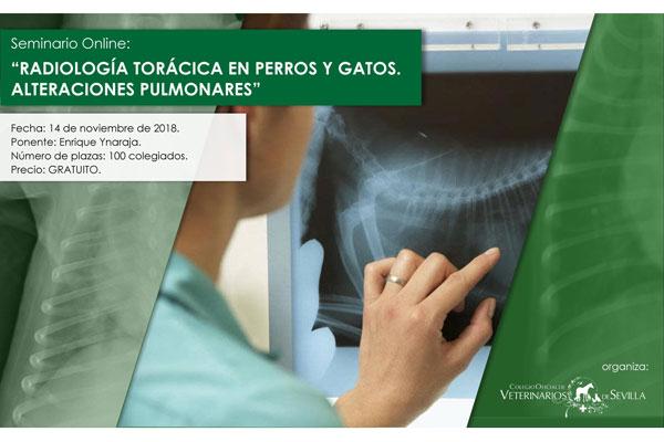 la radiologa torcica centrar el prximo seminario online de colvet sevilla la radiologa torcica centrar el prximo seminario online de colvet sevilla