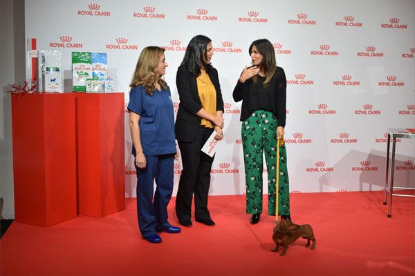 royal canin conciencia sobre el problema del sobrepeso en mascotas royal canin conciencia sobre el problema del sobrepeso en mascotas