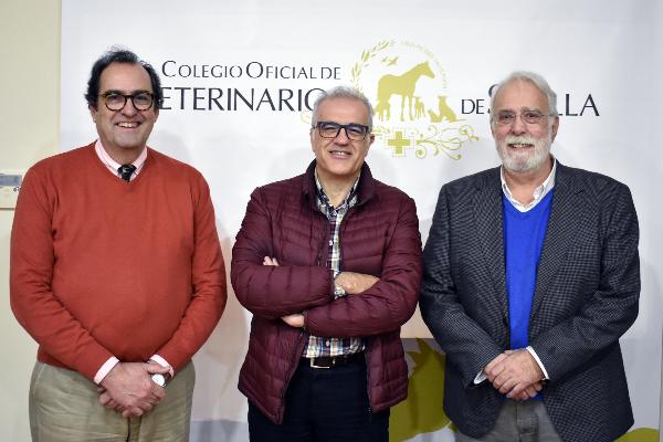 veterinarios-andaluc