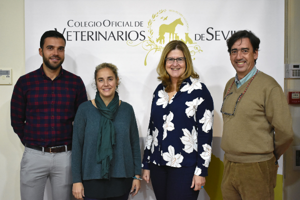 veterinarios sevillanos ahondan en las nuevas tendencias en fluidoterapia veterinarios sevillanos ahondan en las nuevas tendencias en fluidoterapia