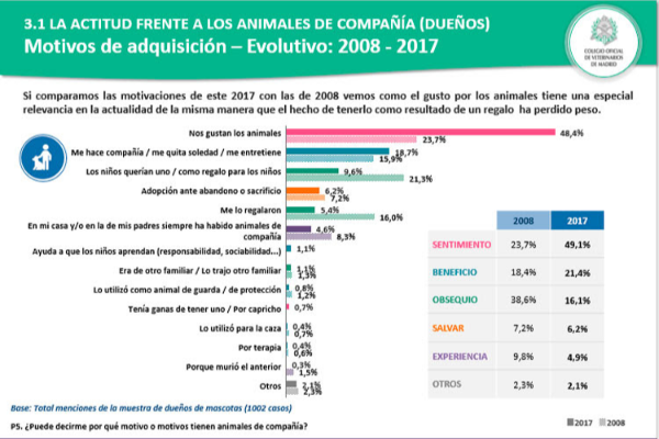 la adopcin de mascotas una tendencia al alza la adopcin de mascotas una tendencia al alza