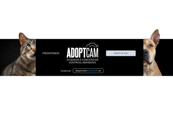 adoptcam la campaa que conciencia sobre la adopcin responsable de mascotas adoptcam la campaa que conciencia sobre la adopcin responsable de mascotas