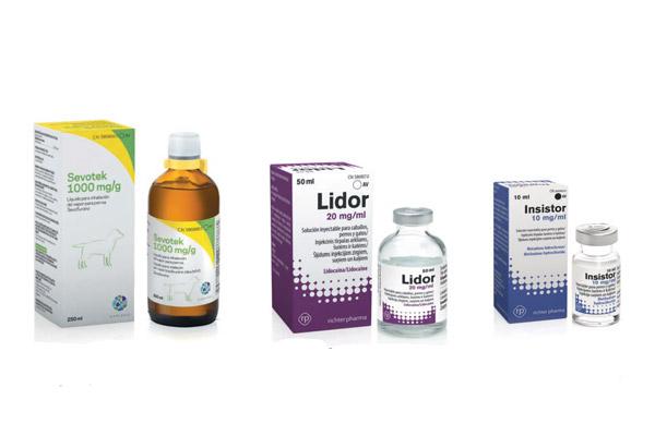 analgesia multimodal y anestesia baranceada pilares de la anestesiologa moderna analgesia multimodal y anestesia baranceada pilares de la anestesiologa moderna