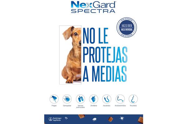 boehringer ingelheim conciencia acerca de la desparasitacin a travs de las redes sociales boehringer ingelheim conciencia acerca de la desparasitacin a travs de las redes sociales
