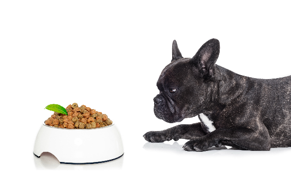 qu diferencias hay entre un pienso light para perros y una dieta para la obesidad qu diferencias hay entre un pienso light para perros y una dieta para la obesidad