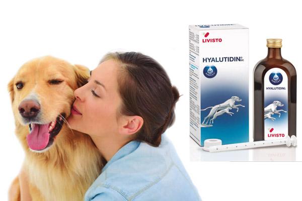 osteoartritis bajo control con hyalutidinsupsup dc osteoartritis bajo control con hyalutidinsupsup dc