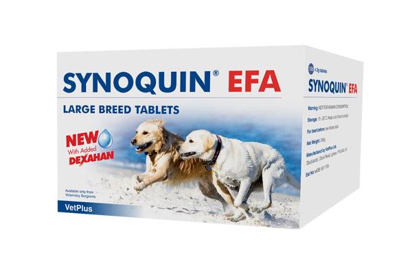 synoquinsup-supefa-e