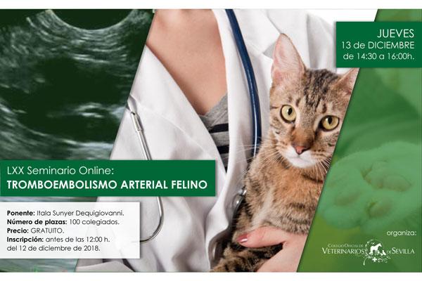 el tromboembolismo arterial felino centrar el lxx seminario online del colvet sevilla el tromboembolismo arterial felino centrar el lxx seminario online del colvet sevilla