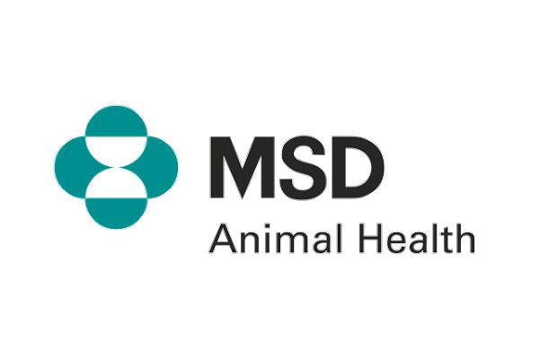 msd compra antelliq msd compra antelliq