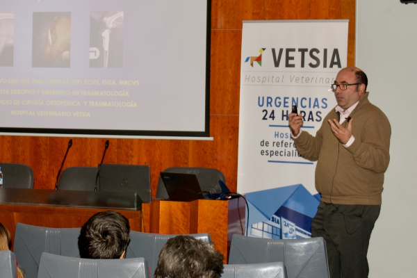 el dr ignacio calvo se incorpora a vetsia hospital veterinario el dr ignacio calvo se incorpora a vetsia hospital veterinario