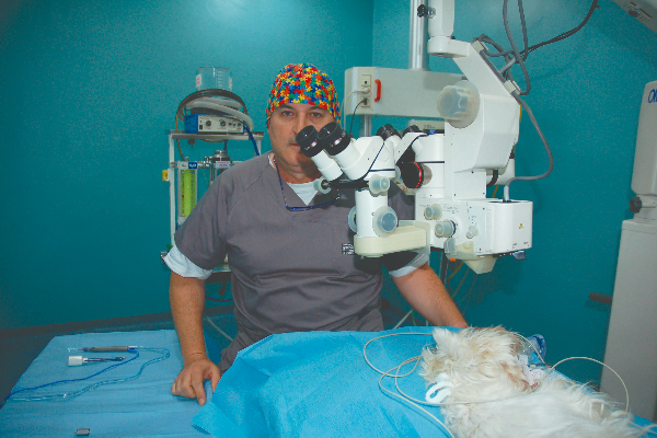 en-oftalmologia-vete
